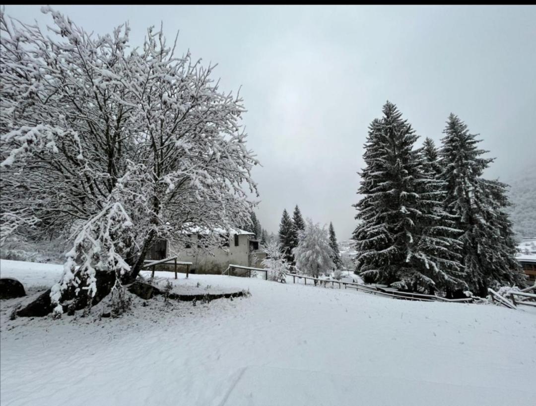 Ski-Garden Mezzana  Zewnętrze zdjęcie